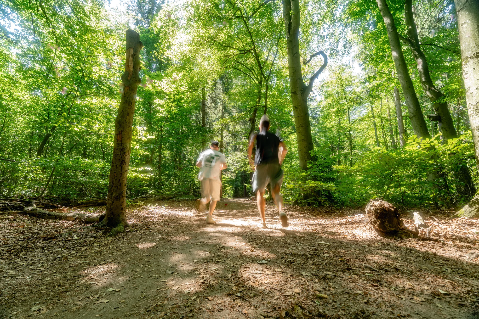 Spaziergang im Siemenswäldchen